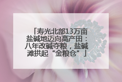 寿光北部13万亩盐碱地迈向高产田：八年改碱夺粮，盐碱滩拱起“金粮仓”