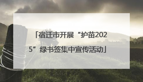 宿迁市开展“护苗2025”绿书签集中宣传活动
