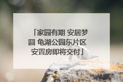 家园有期 安居梦圆 龟湖公园东片区安置房即将交付