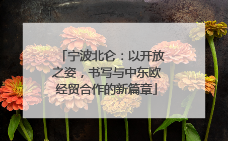 宁波北仑：以开放之姿，书写与中东欧经贸合作的新篇章