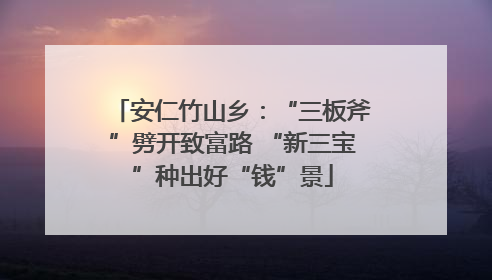 安仁竹山乡：“三板斧”劈开致富路 “新三宝”种出好“钱”景