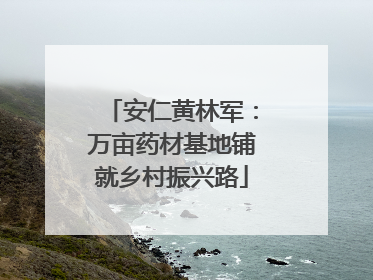 安仁黄林军：万亩药材基地铺就乡村振兴路