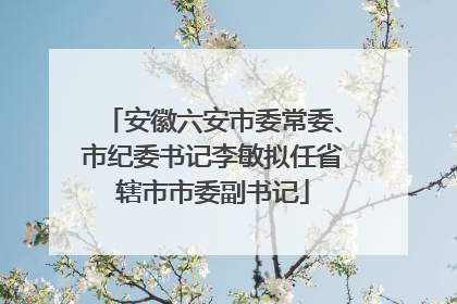 安徽六安市委常委、市纪委书记李敏拟任省辖市市委副书记