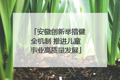 安徽创新举措健全机制 推进儿童事业高质量发展