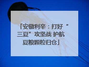 安徽利辛：打好“三夏”攻坚战 护航夏粮颗粒归仓
