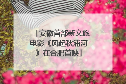 安徽首部新文旅电影《风起秋浦河》在合肥首映