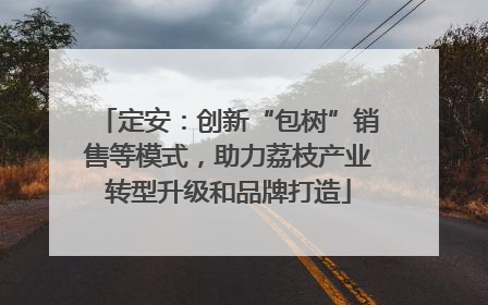 定安：创新“包树”销售等模式，助力荔枝产业转型升级和品牌打造