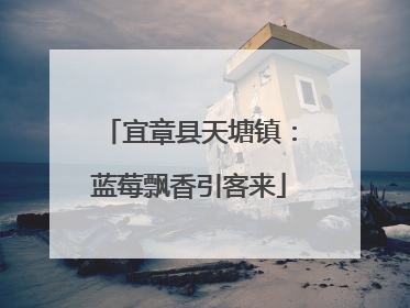 宜章县天塘镇：蓝莓飘香引客来