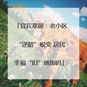 宜宾翠屏：老小区“逆龄”蜕变 居民幸福“旧”地加码