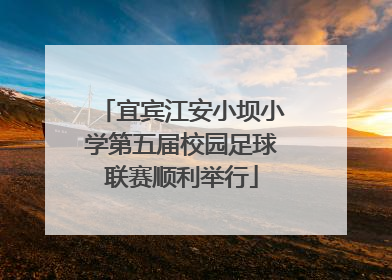 宜宾江安小坝小学第五届校园足球联赛顺利举行