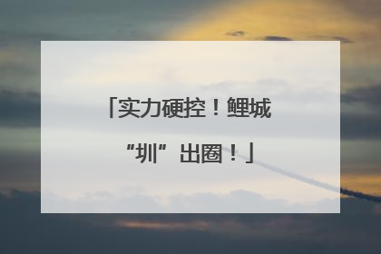 实力硬控！鲤城“圳”出圈！