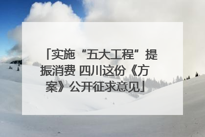 实施“五大工程”提振消费 四川这份《方案》公开征求意见