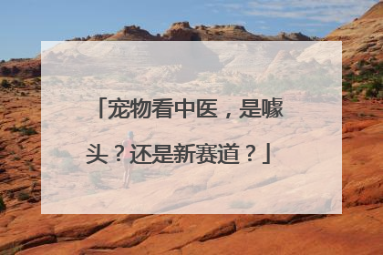 宠物看中医，是噱头？还是新赛道？