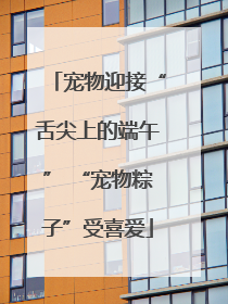 宠物迎接“舌尖上的端午” “宠物粽子”受喜爱