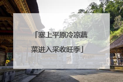 塞上平原冷凉蔬菜进入采收旺季