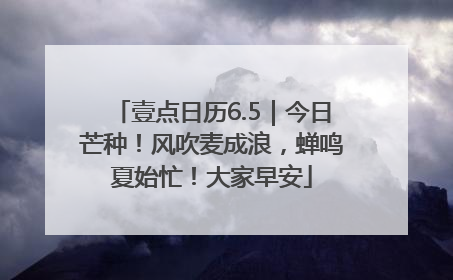 壹点日历6.5｜今日芒种！风吹麦成浪，蝉鸣夏始忙！大家早安