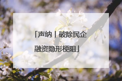 声纳丨破除民企融资隐形梗阻