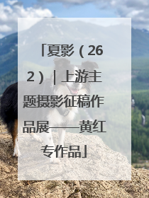 夏影（262）｜上游主题摄影征稿作品展——黄红专作品