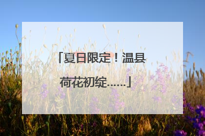 夏日限定！温县荷花初绽……