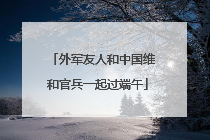 外军友人和中国维和官兵一起过端午