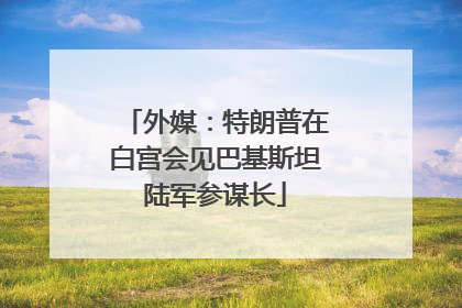 外媒：特朗普在白宫会见巴基斯坦陆军参谋长