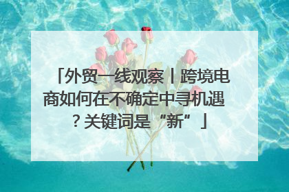外贸一线观察丨跨境电商如何在不确定中寻机遇？关键词是“新”