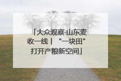 大众观察·山东麦收一线丨“一块田”打开产粮新空间