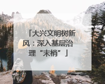 大兴文明树新风：深入基层治理“末梢”
