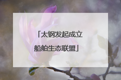 太钢发起成立船舶生态联盟