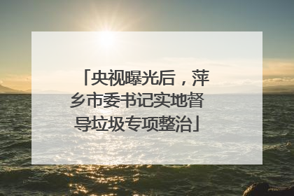 央视曝光后，萍乡市委书记实地督导垃圾专项整治