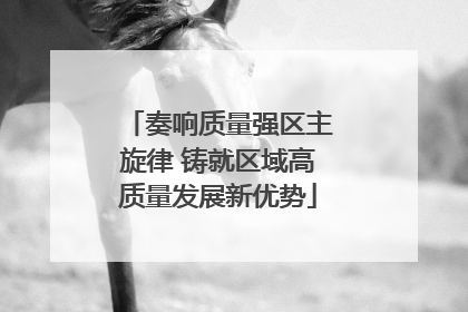 奏响质量强区主旋律 铸就区域高质量发展新优势