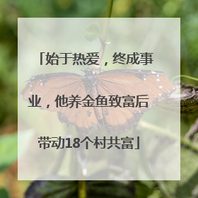 始于热爱，终成事业，他养金鱼致富后带动18个村共富