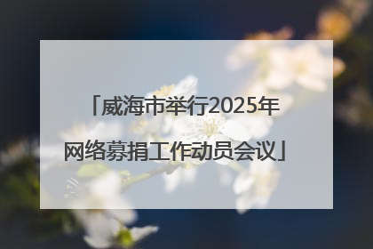 威海市举行2025年网络募捐工作动员会议