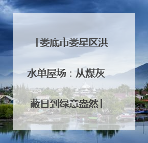 娄底市娄星区洪水单屋场：从煤灰蔽日到绿意盎然