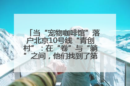 当“宠物咖啡馆”落户北京10号线“青创村”：在“卷”与“躺”之间，他们找到了第三种生活公式