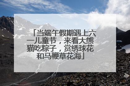 当端午假期遇上六一儿童节，来看大熊猫吃粽子，赏绣球花和马鞭草花海