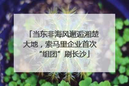 当东非海风邂逅湘楚大地，索马里企业首次“组团”刷长沙