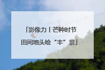 影像力丨芒种时节 田间地头绘“丰”景
