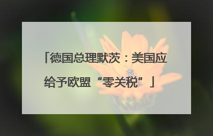 德国总理默茨：美国应给予欧盟“零关税”