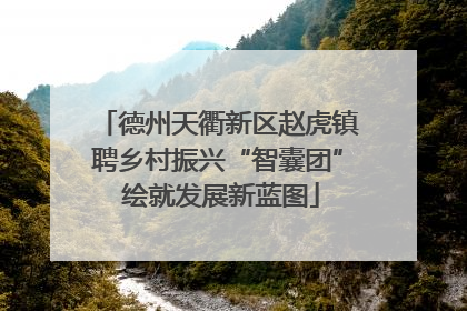 德州天衢新区赵虎镇聘乡村振兴“智囊团” 绘就发展新蓝图