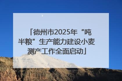德州市2025年“吨半粮”生产能力建设小麦测产工作全面启动