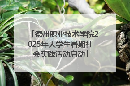 德州职业技术学院2025年大学生暑期社会实践活动启动