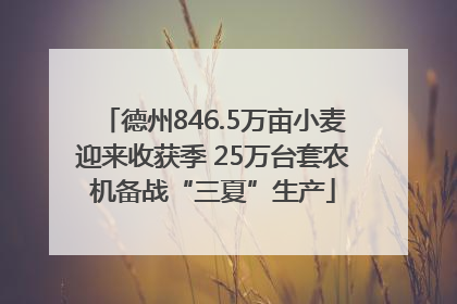 德州846.5万亩小麦迎来收获季 25万台套农机备战“三夏”生产