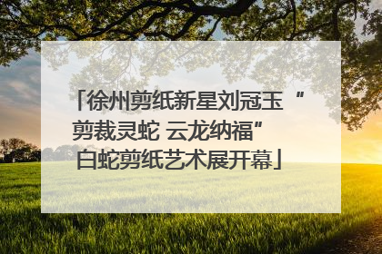 徐州剪纸新星刘冠玉“剪裁灵蛇 云龙纳福” 白蛇剪纸艺术展开幕