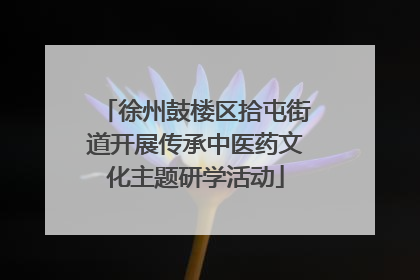 徐州鼓楼区拾屯街道开展传承中医药文化主题研学活动