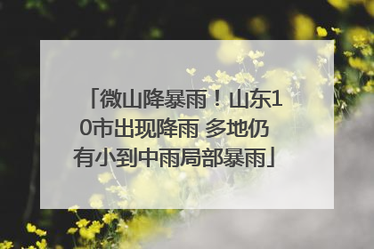微山降暴雨！山东10市出现降雨 多地仍有小到中雨局部暴雨