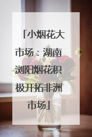 小烟花大市场：湖南浏阳烟花积极开拓非洲市场