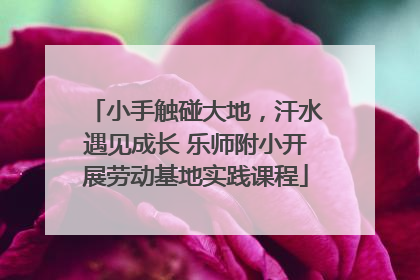 小手触碰大地，汗水遇见成长 乐师附小开展劳动基地实践课程