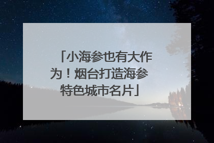 小海参也有大作为！烟台打造海参特色城市名片