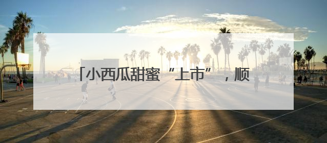 小西瓜甜蜜“上市”，顺义区北务镇进入采摘季